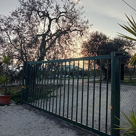 La Villa Di Campagna ปิสติชชี ภายนอก รูปภาพ