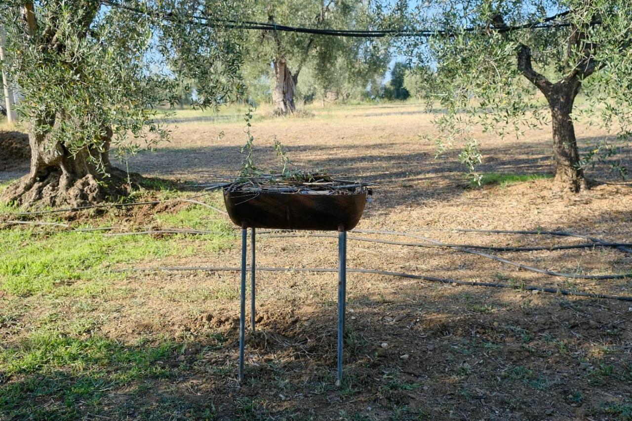La Villa Di Campagna ปิสติชชี ภายนอก รูปภาพ
